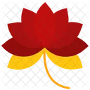 Lotus  Symbol