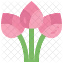 Lotus  Icon