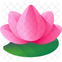 Lotus Flor Ioga Ícone