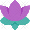 Lotus Lotus Flower Spa Icon