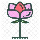 Lotus Flower Floral Icon