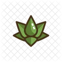 Mlotus Lotus Water Lily Icon