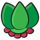 Lotus Blossom Flower Icon