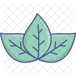 Lotus  Icon