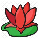 Water Lily Nymphaeaceae Aquatic Plant Icon