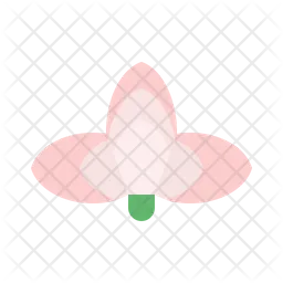 Lotus  Icon