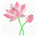 Lotus Flower Blossom Icon