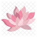 Lotus Flower Flowers Icon