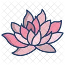 Lotus Flower Flowers Icon