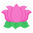 Water Lily Lotus Flower Icon