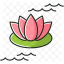 Lotus  Symbol