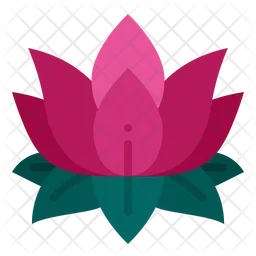 Lotus  Icon