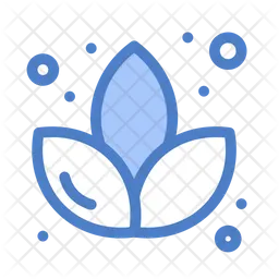 Lotus  Icon