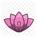 Lotus Floral Flower Icon