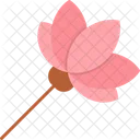 Lotus Bloom Blossom Icon