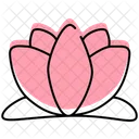 Lotus Lotus Flower Flower Icon