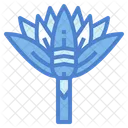 Lotus  Icon