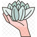 Lotus Flower Peace Icon