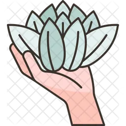 Lotus  Icon