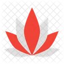 Lotus  Icon