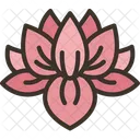 Lotus Flower Blossom Icon