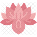 Lotus  Icon