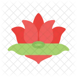 Lotus  Icon