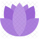 Lotus Flower Beauty Icon