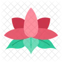 Lotus Flower Nature Icon