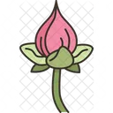 Lotus Petals Folding Icon