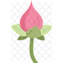 Lotus Petals Folding Icon