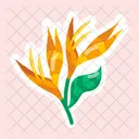 Lotus Berthelotii  Icon