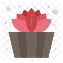Lotus Bucket  Icon