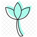Lotus Flower Color Shadow Thinline Icon Icon