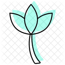 Lotus-flower  Icon