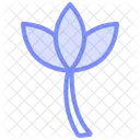 Lotus Flower Duotone Line Icon Icon