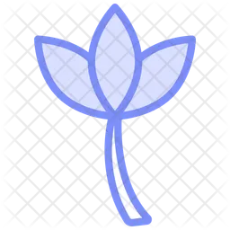 Lotus-flower  Icon