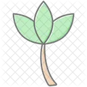 Lotus Flower Lineal Color Icon Icon