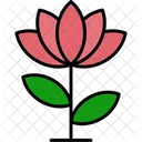 Lotus flower  Icon