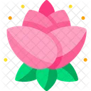 Lotus Flower Icon