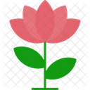 Lotus Flower Lotus Flower Icon