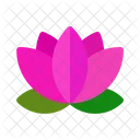 Lotus Flower Flower Lotus Icon