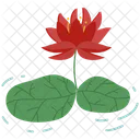 Lotus Flower Chinese New Year Icon