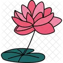 Lotus Flower Aquatic Flower Water Lily Icon