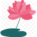 Lotus Flower Aquatic Flower Water Lily Icon