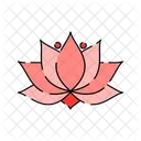 Lotus Flower Flower Lotus Icon