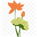 Lotus Flower Flower Lotus Icon