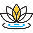 Lotus Flower Lotus Flower Icon