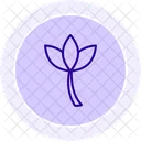 Lotus Flower Symbol Icon