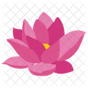 Lotus Flower Lotus Symbol Spiritual Flower Icon